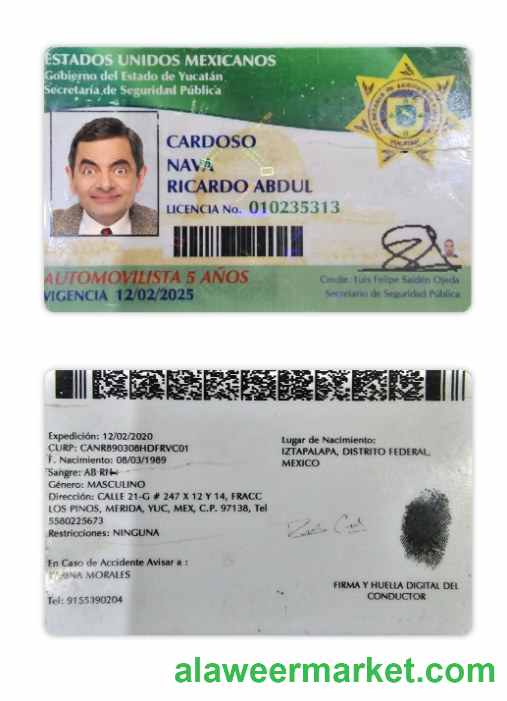 Mexico Yucatan state driving license